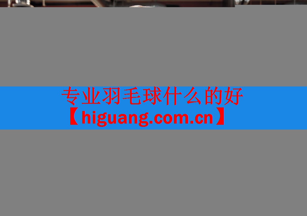 专业羽毛球什么的好